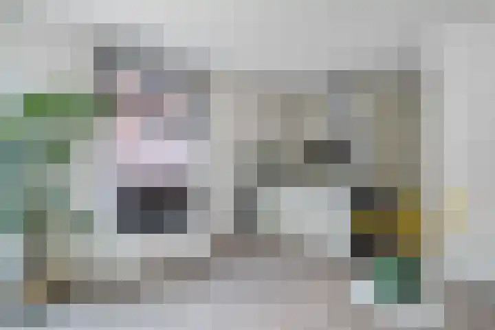 Insulindestraat 219 B 02 Rotterdam thumbnail 17