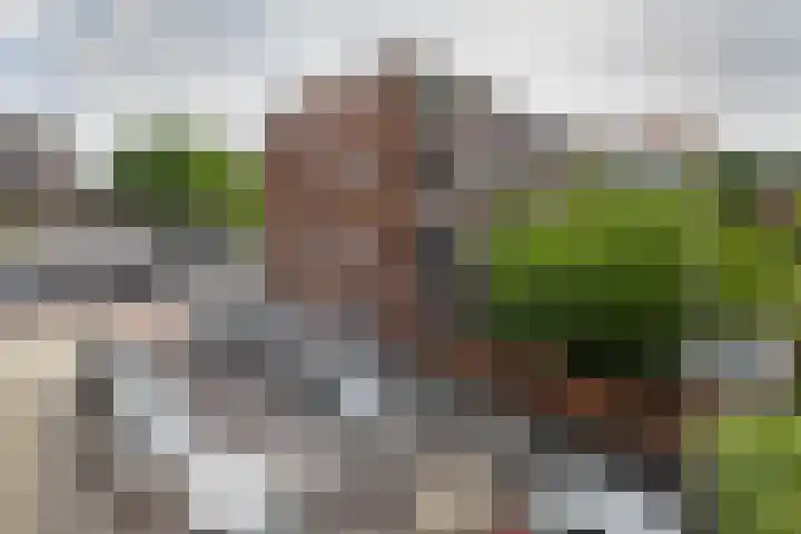 Insulindestraat 219 B 02 Rotterdam thumbnail 31