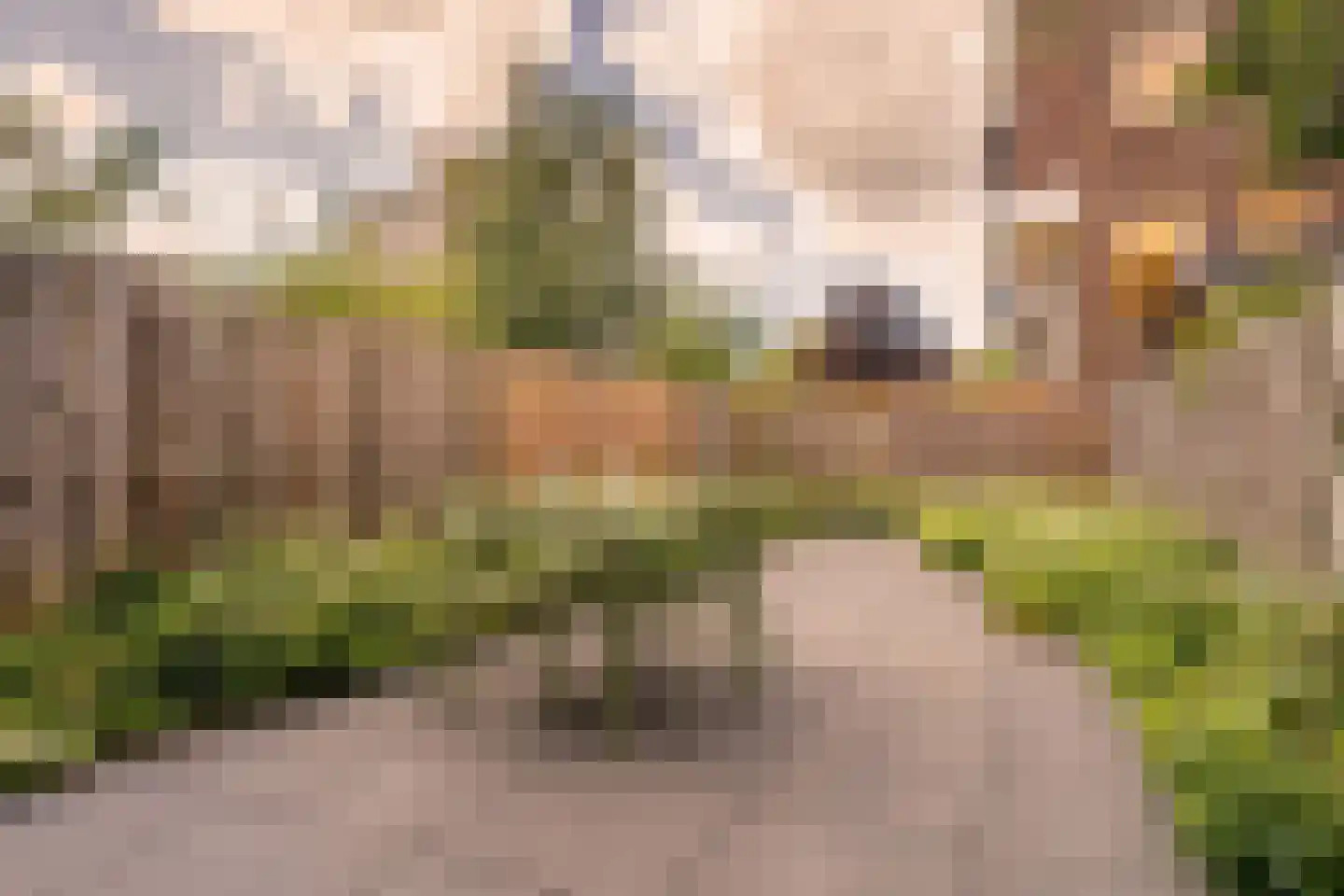 Insulindestraat 223 A Rotterdam thumbnail 4