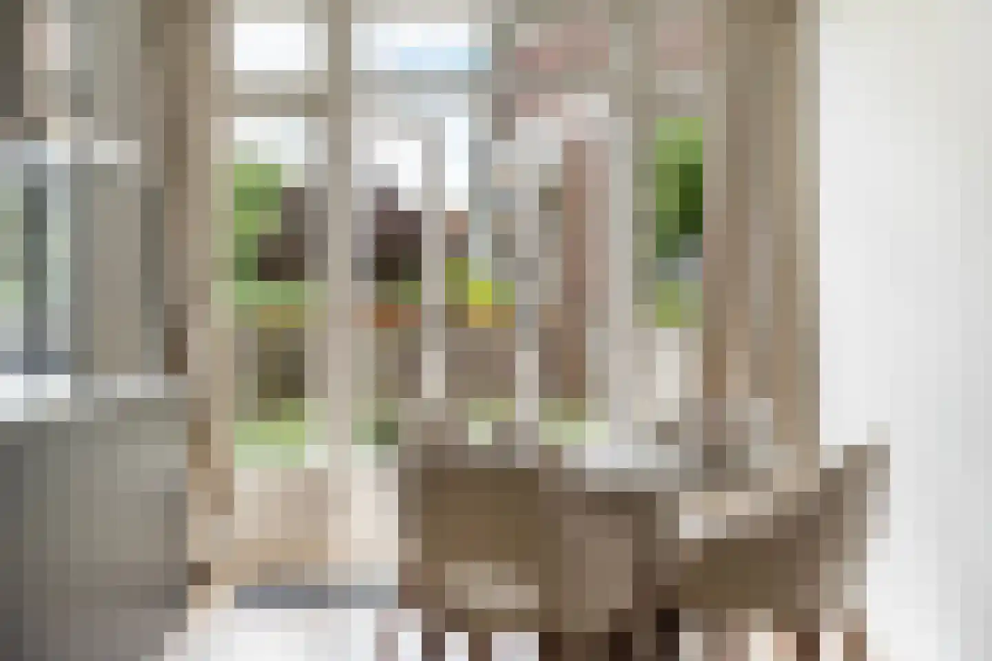 Insulindestraat 223 B 01 Rotterdam thumbnail 13