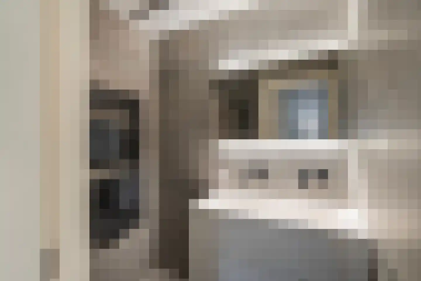 Insulindestraat 223 B 01 Rotterdam thumbnail 18