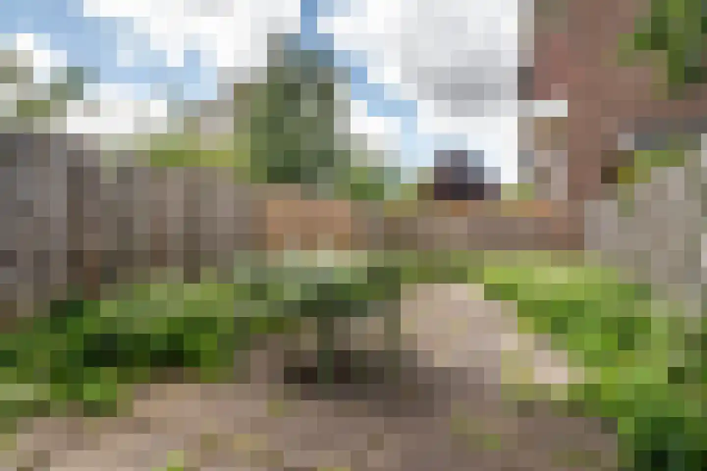 Insulindestraat 223 B 01 Rotterdam thumbnail 4