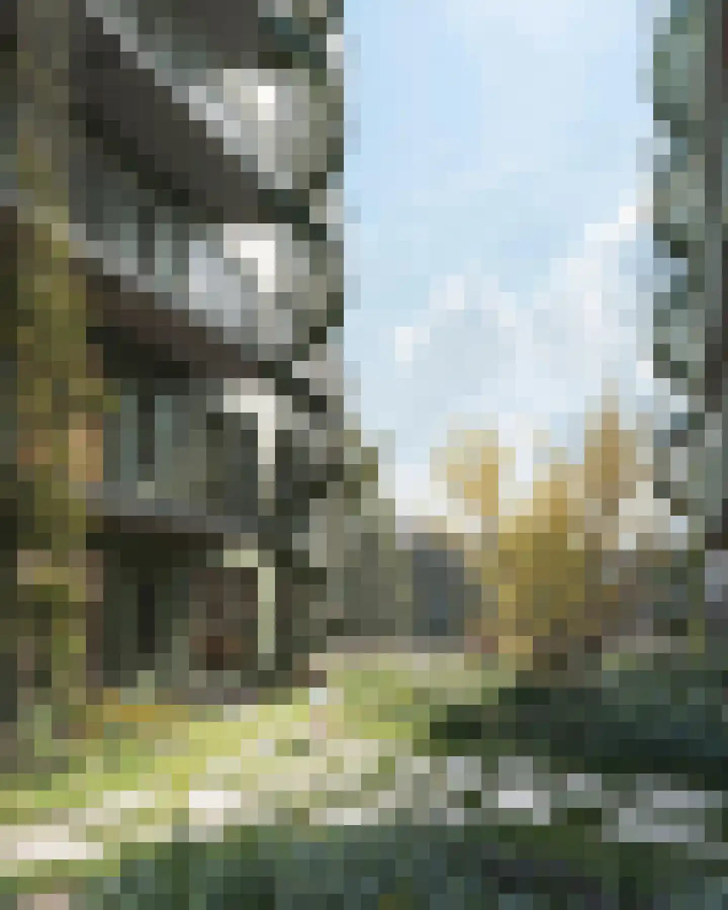 Insulindestraat 254 Q Rotterdam thumbnail 4