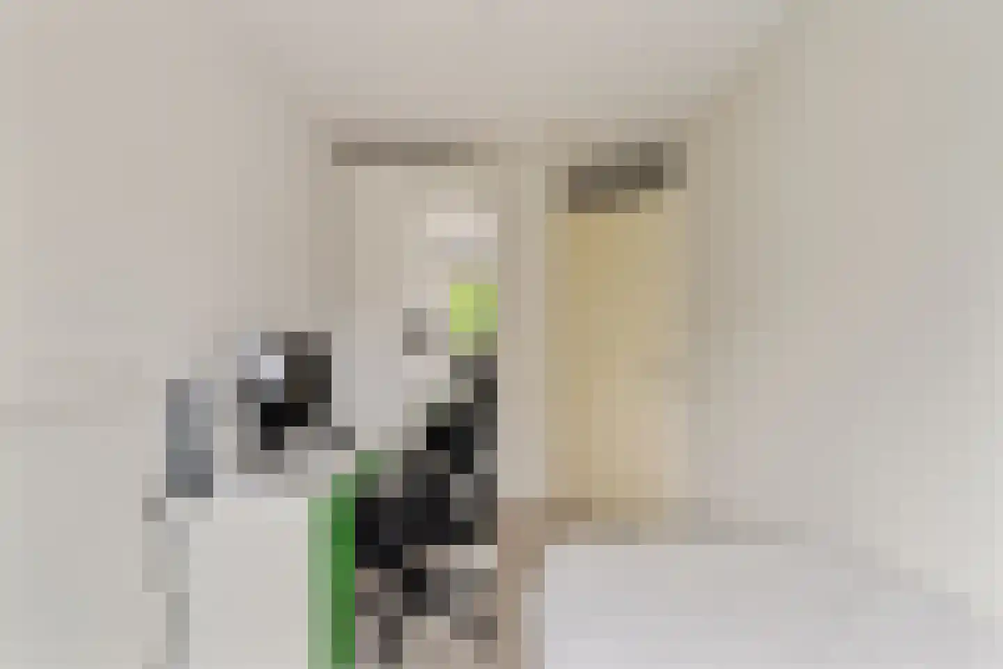 Insulindestraat 269 C Rotterdam thumbnail 22
