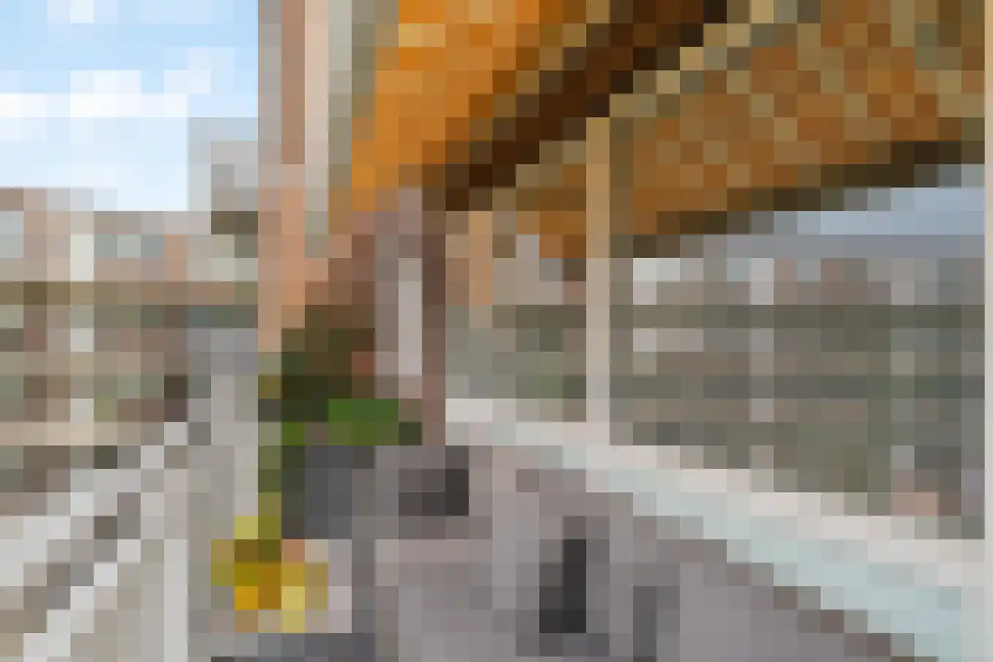 Insulindestraat 269 C Rotterdam thumbnail 24
