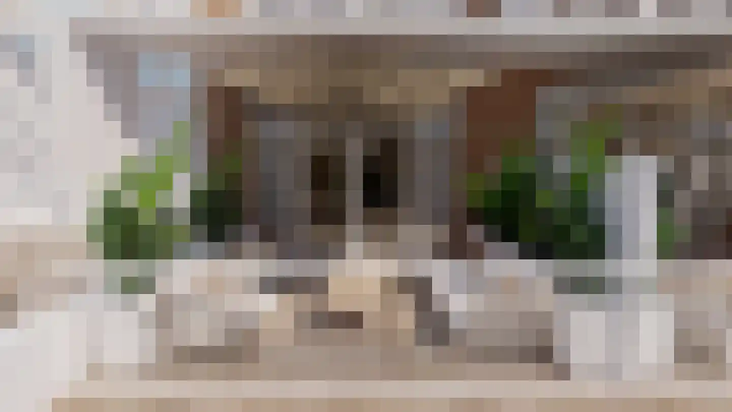 Insulindestraat 283 B Rotterdam thumbnail 17