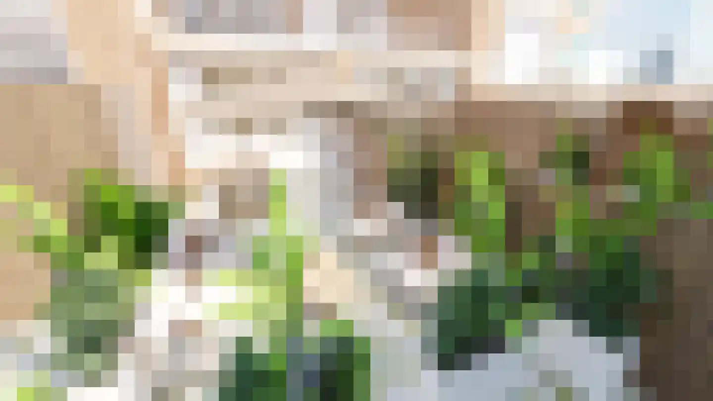 Insulindestraat 283 B Rotterdam thumbnail 36