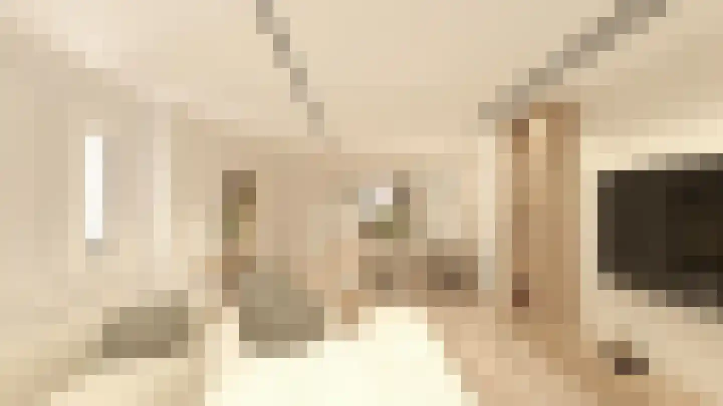 Insulindestraat 283 B Rotterdam thumbnail 4