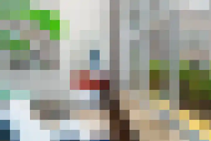 Insulindestraat 289 B 02 Rotterdam thumbnail 23