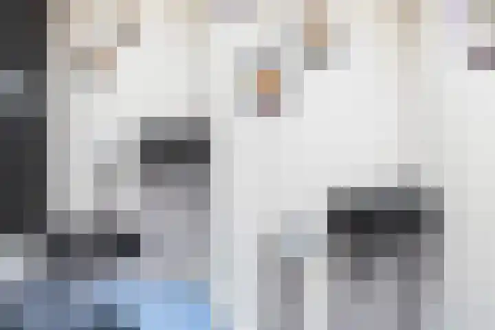 Insulindestraat 289 B 02 Rotterdam thumbnail 47