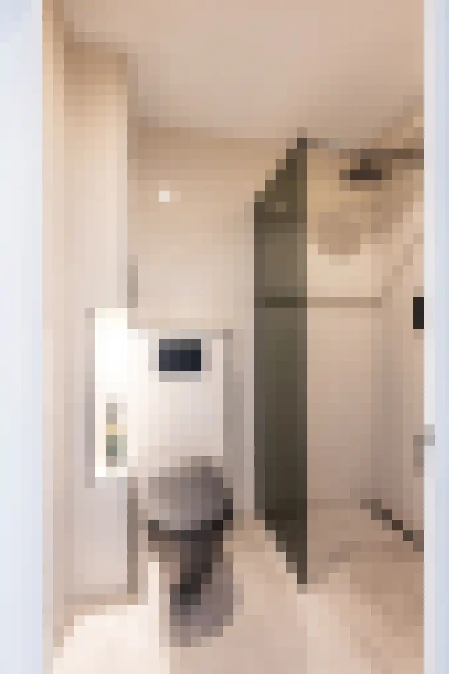 Insulindestraat 297 Rotterdam thumbnail 21
