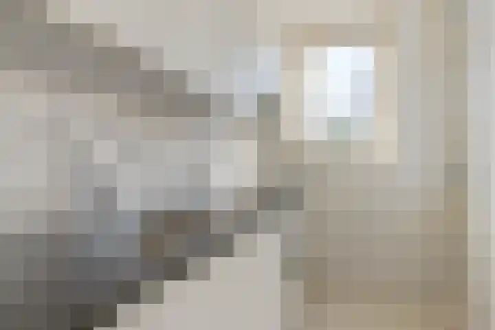 Insulindestraat 49 B 01 Rotterdam thumbnail 10