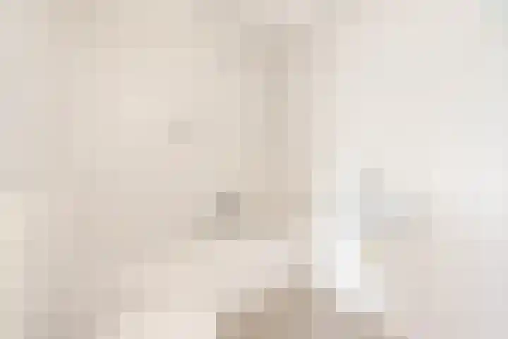 Insulindestraat 49 B 01 Rotterdam thumbnail 18