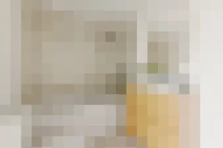 Insulindestraat 49 B 01 Rotterdam thumbnail 19
