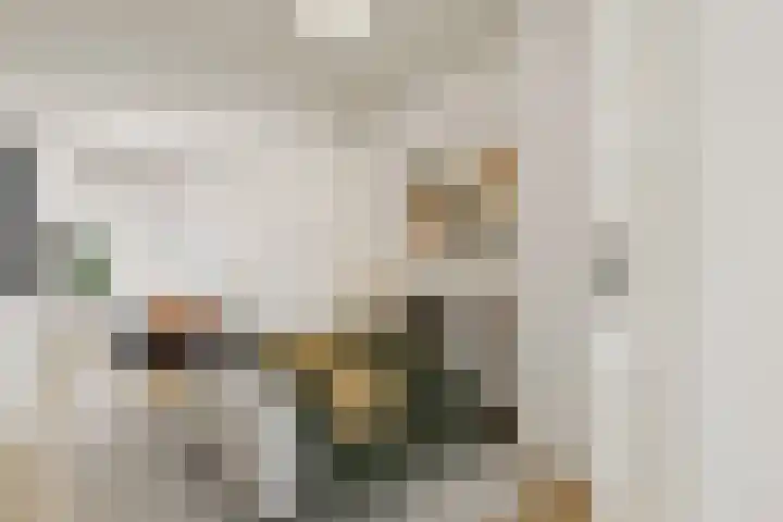 Insulindestraat 51 B Rotterdam thumbnail 10