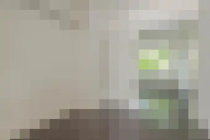 Insulindestraat 51 B Rotterdam thumbnail 11