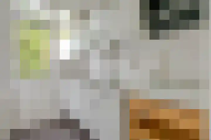 Insulindestraat 51 B Rotterdam thumbnail 12