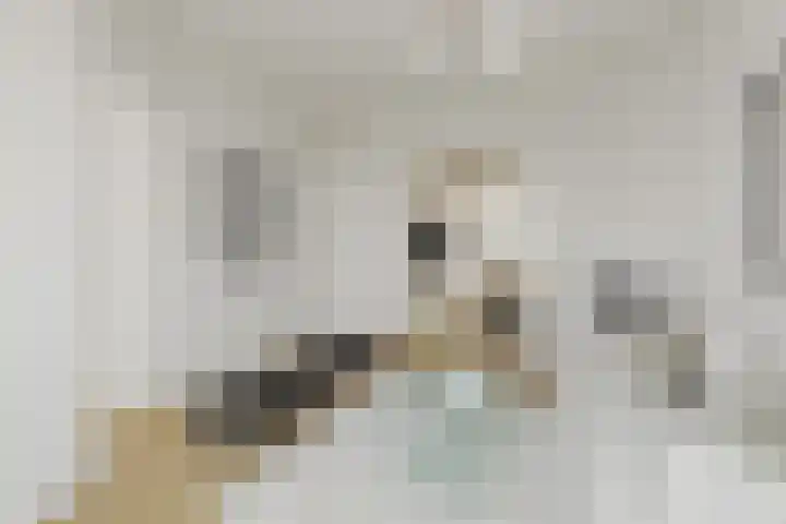 Insulindestraat 51 B Rotterdam thumbnail 4