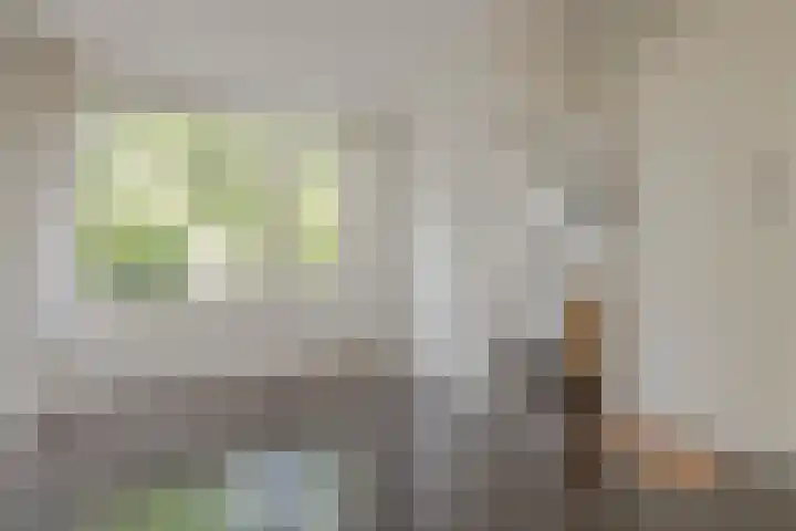 Insulindestraat 51 B Rotterdam thumbnail 5