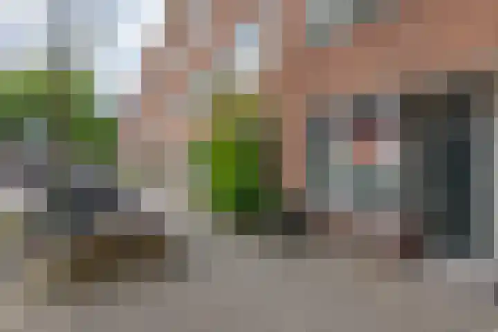 Insulindestraat 51 B Rotterdam thumbnail 6