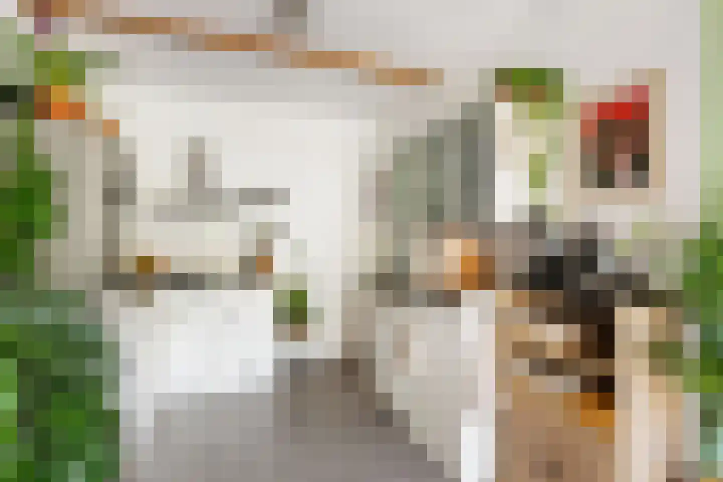 Insulindestraat 61 A Rotterdam thumbnail 22