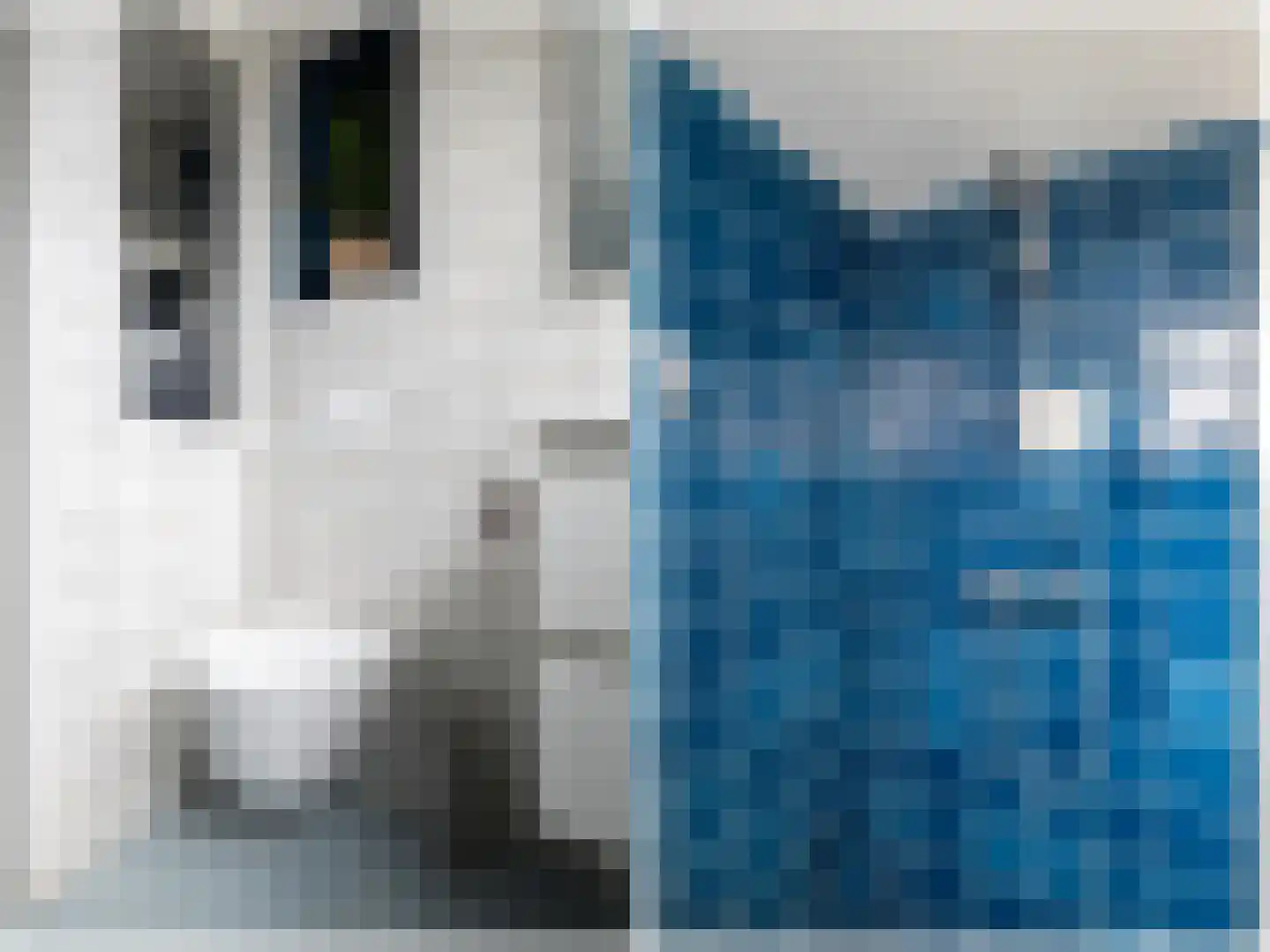 Insulindestraat 71 B Rotterdam thumbnail 12