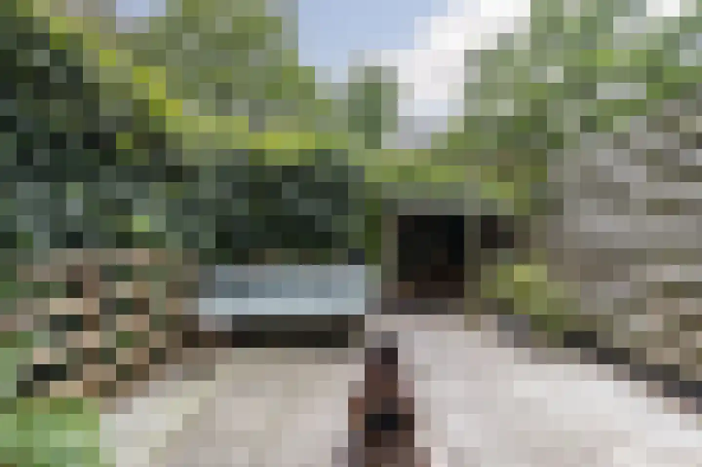 Insulindestraat 71 B Rotterdam thumbnail 15