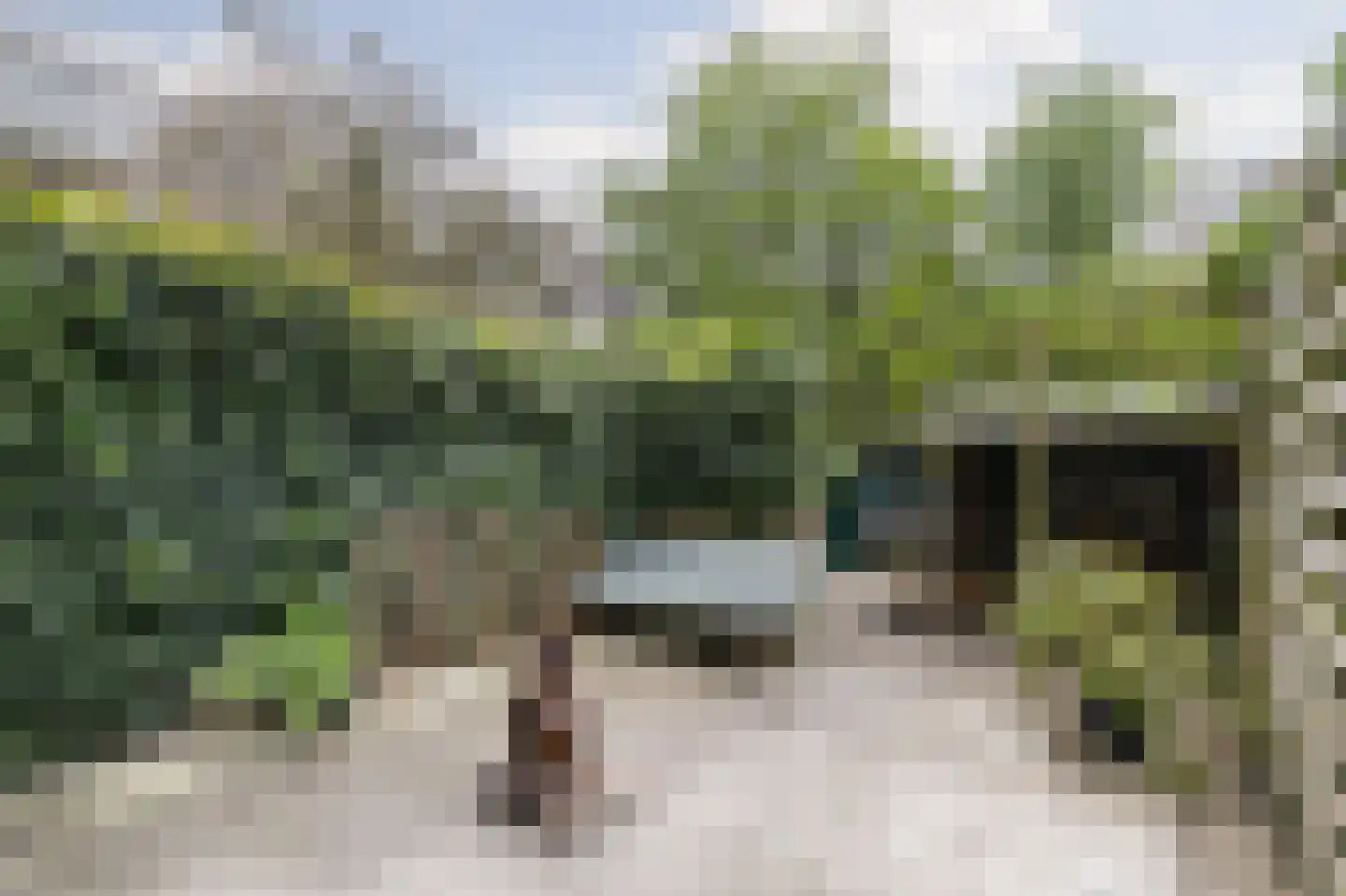Insulindestraat 71 B Rotterdam thumbnail 19