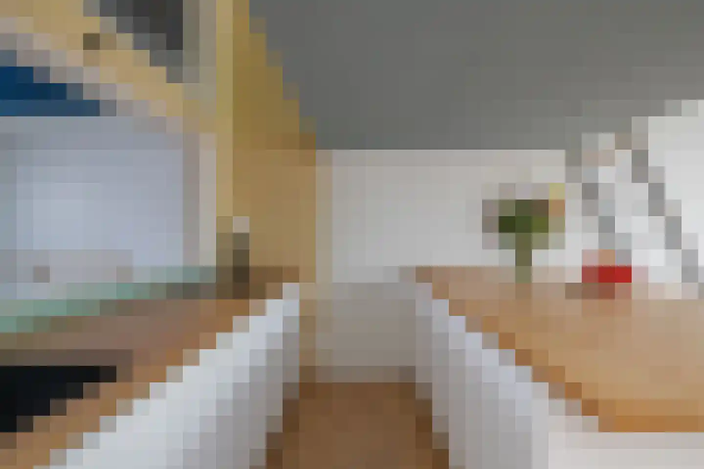 Insulindestraat 71 B Rotterdam thumbnail 8