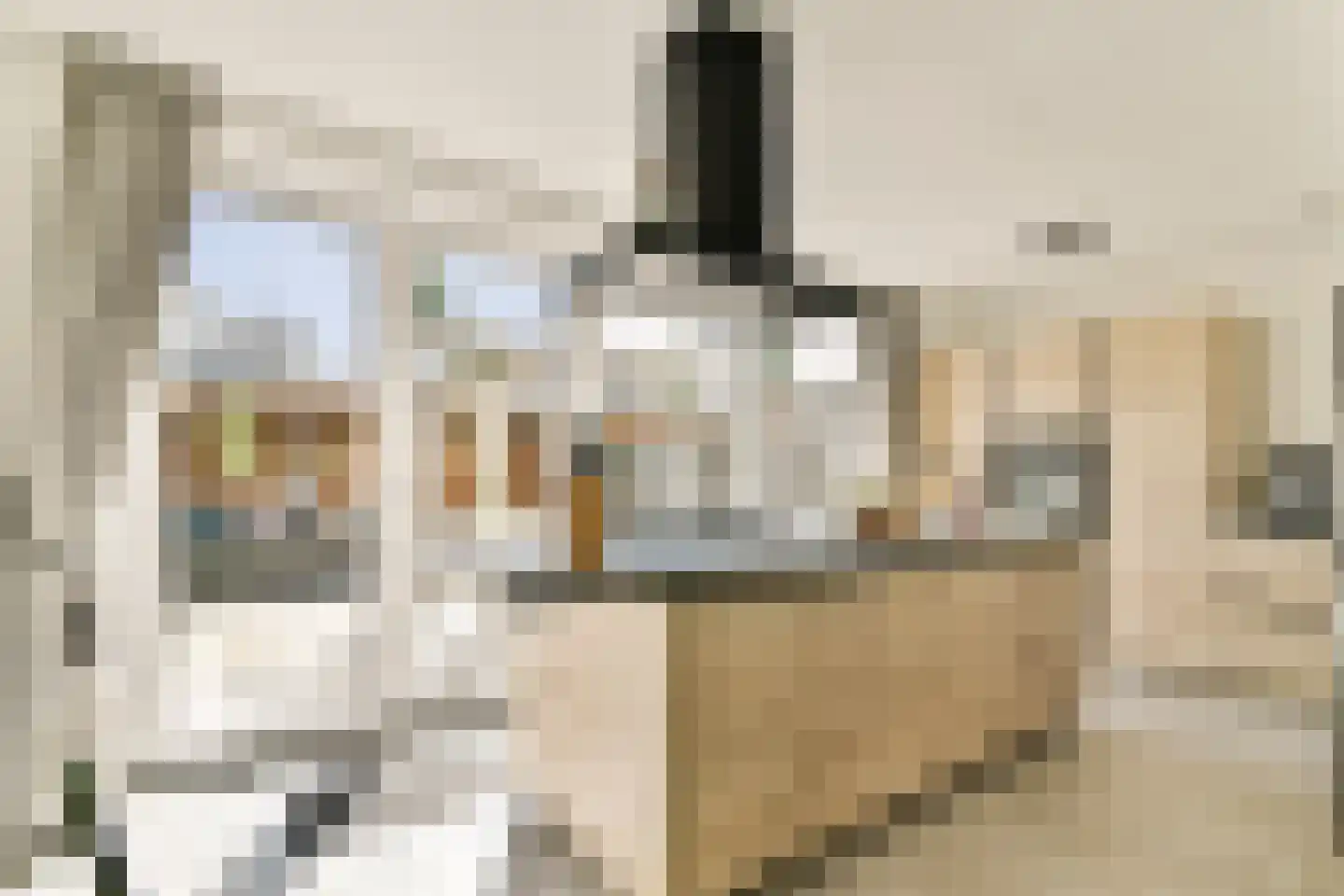 Insulindestraat 72 Vlaardingen thumbnail 10