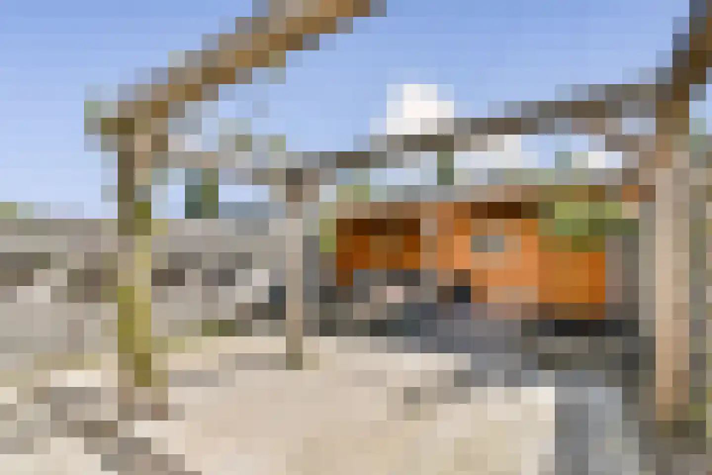 Insulindestraat 72 Vlaardingen thumbnail 14