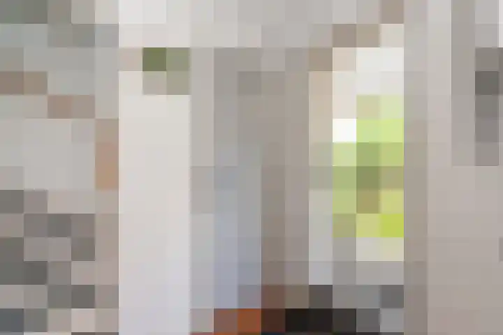 Insulindestraat 74 Vlaardingen thumbnail 12