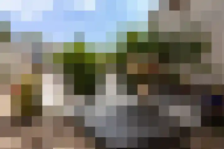 Insulindestraat 74 Vlaardingen thumbnail 14