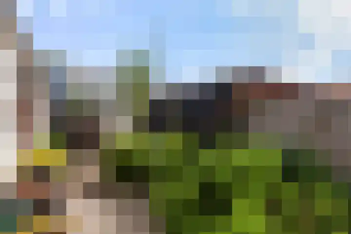 Insulindestraat 74 Vlaardingen thumbnail 17