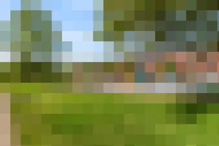 Insulindestraat 74 Vlaardingen thumbnail 35