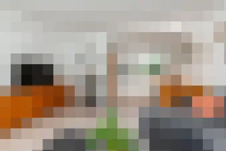 Insulindestraat 74 Vlaardingen thumbnail 6