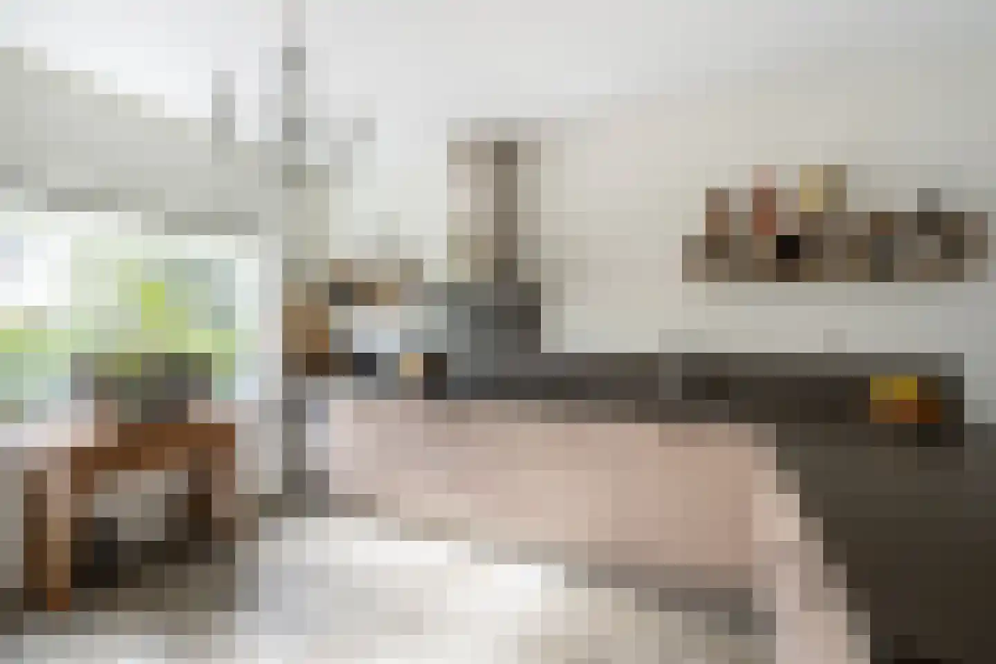 Insulindestraat 85 Vlaardingen thumbnail 17
