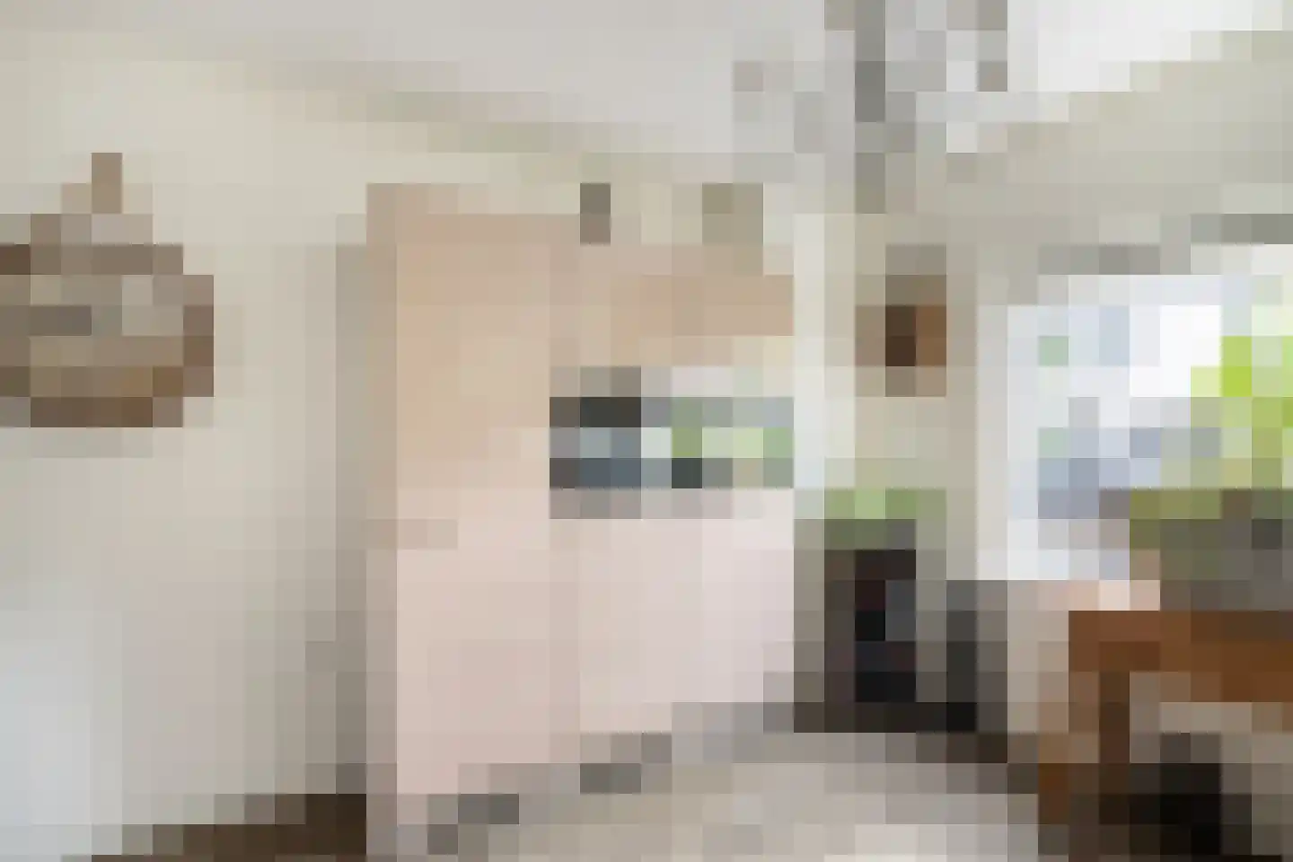 Insulindestraat 85 Vlaardingen thumbnail 18