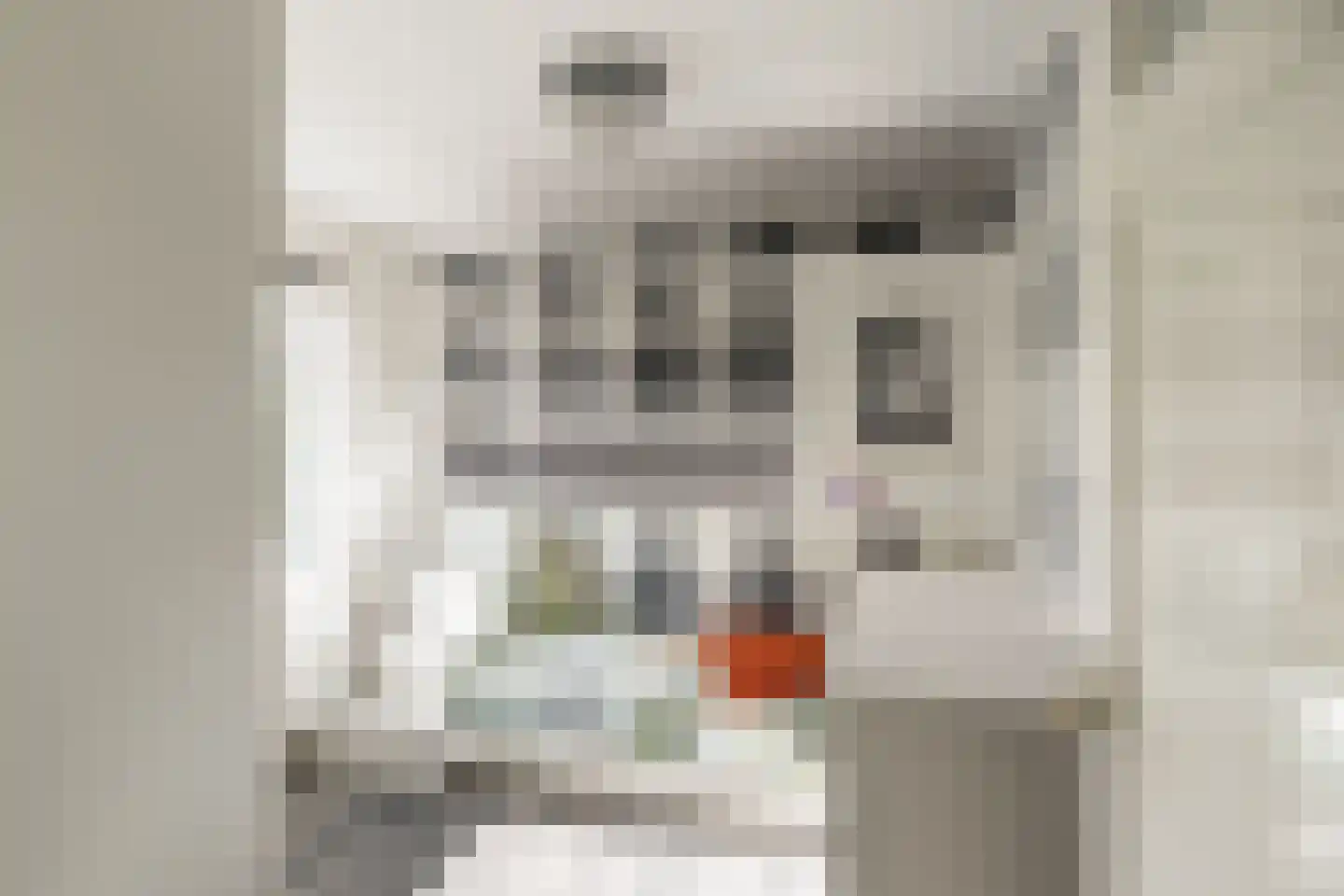 Insulindestraat 85 Vlaardingen thumbnail 29