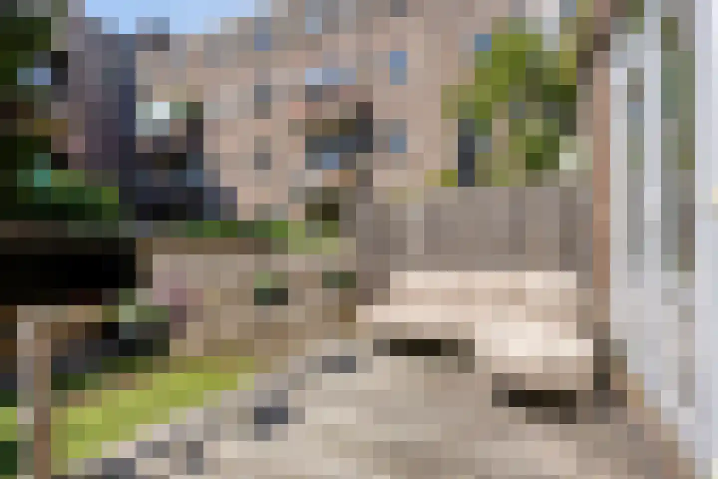 Insulindestraat 87 A Rotterdam thumbnail 19
