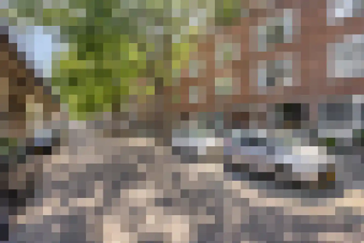 Insulindestraat 87 A Rotterdam thumbnail 5