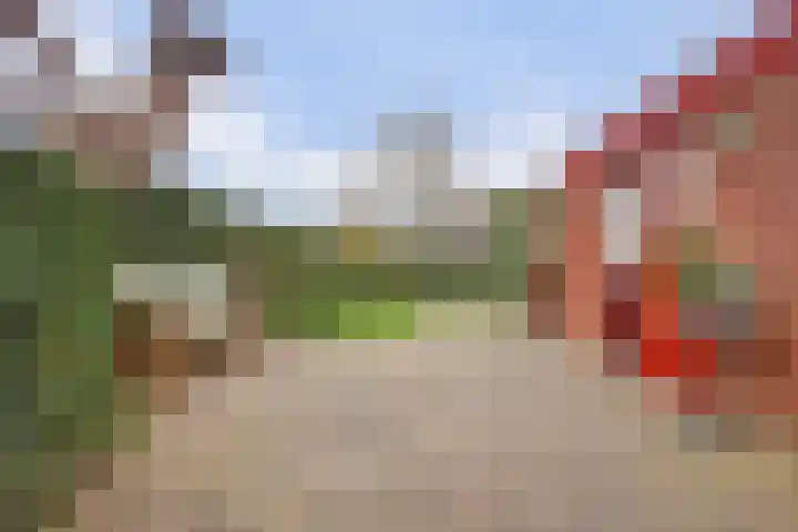 Insulindestraat 9 Doetinchem thumbnail 38