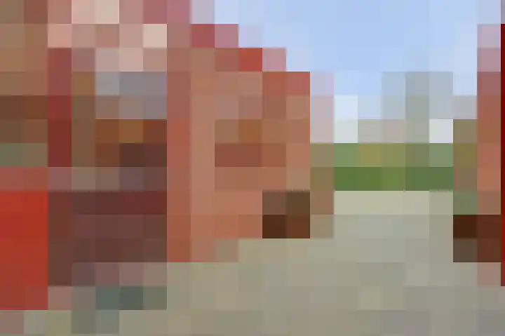 Insulindestraat 9 Doetinchem thumbnail 39