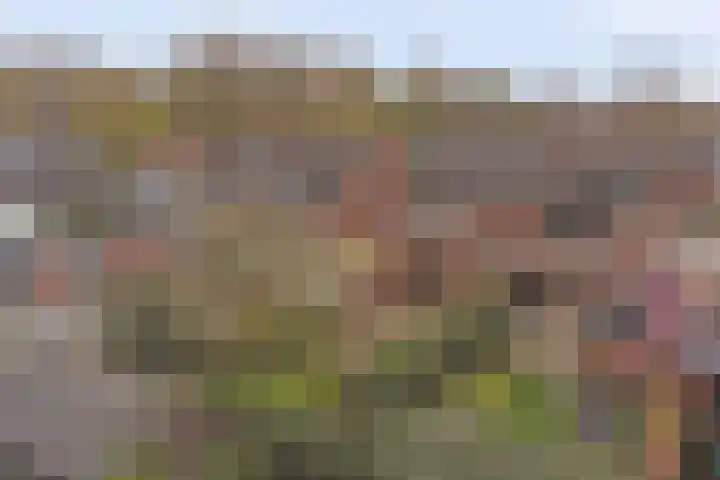 Insulindestraat 9 Doetinchem thumbnail 46