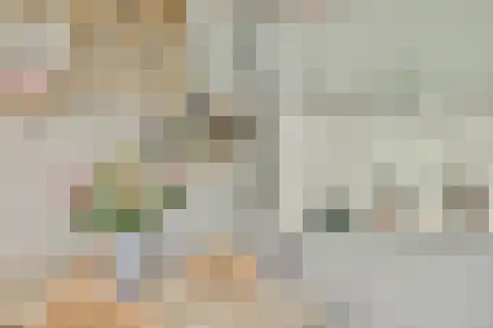 Insulindestraat 99 B 02 Rotterdam thumbnail 9