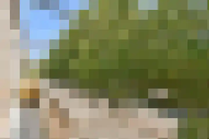 Insulindeweg 101 1 Amsterdam thumbnail 22
