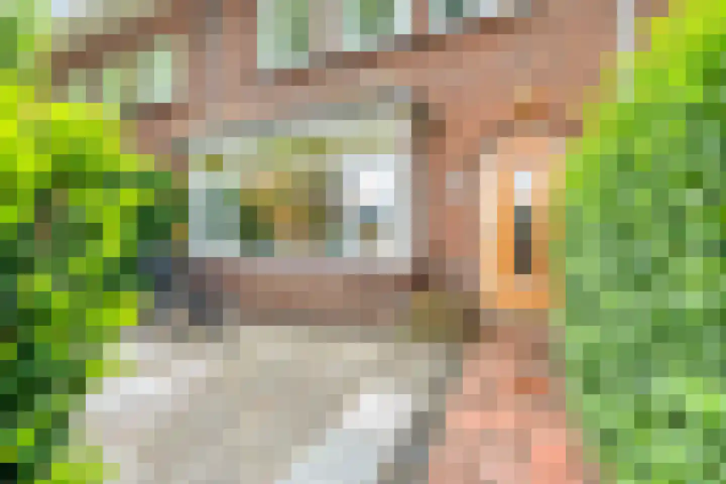 Insulindeweg 11 Delft thumbnail 5