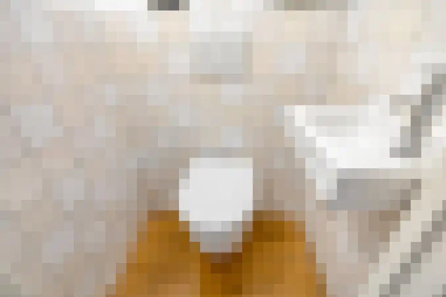 Insulindeweg 11 Delft thumbnail 7