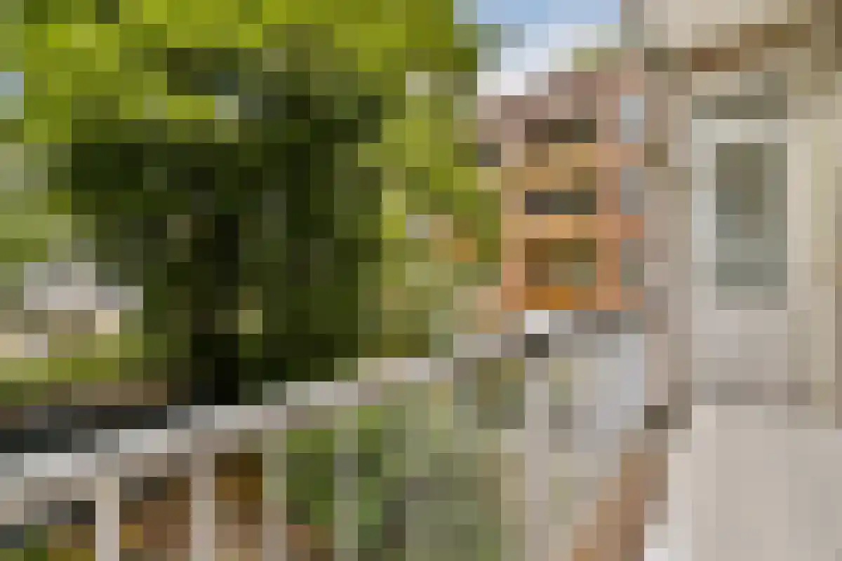 Insulindeweg 111 1 Amsterdam thumbnail 4