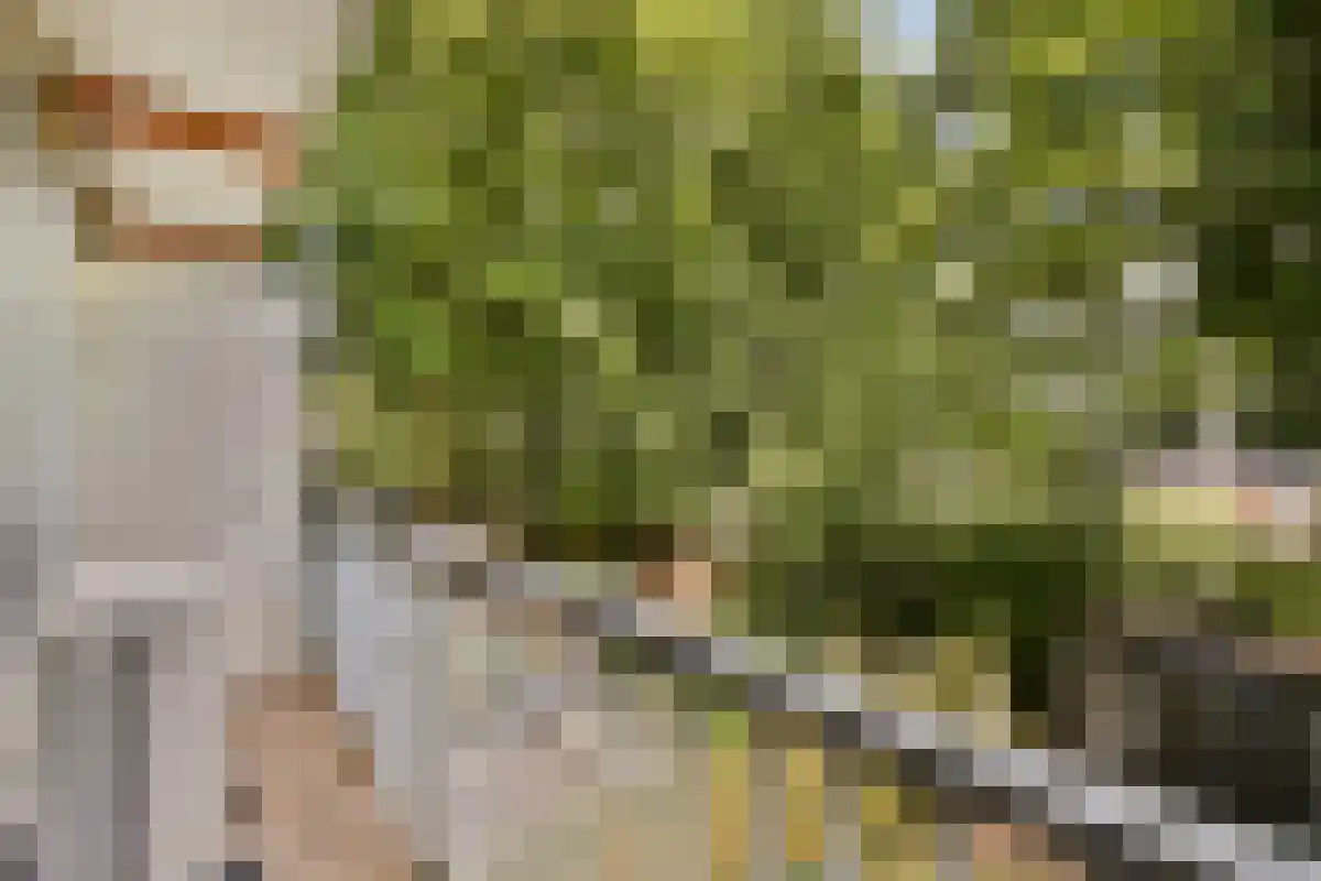 Insulindeweg 111 1 Amsterdam thumbnail 5